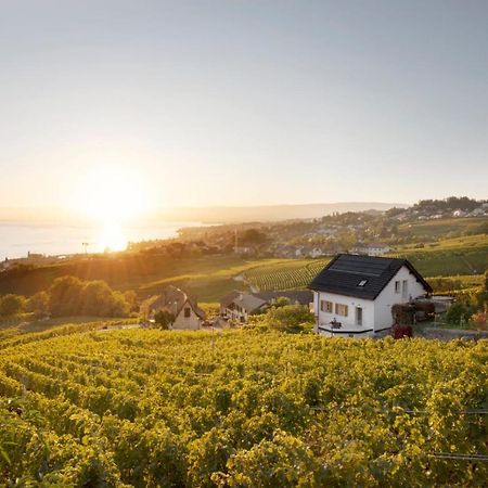 מלון לוטרי #Lavaux מראה חיצוני תמונה