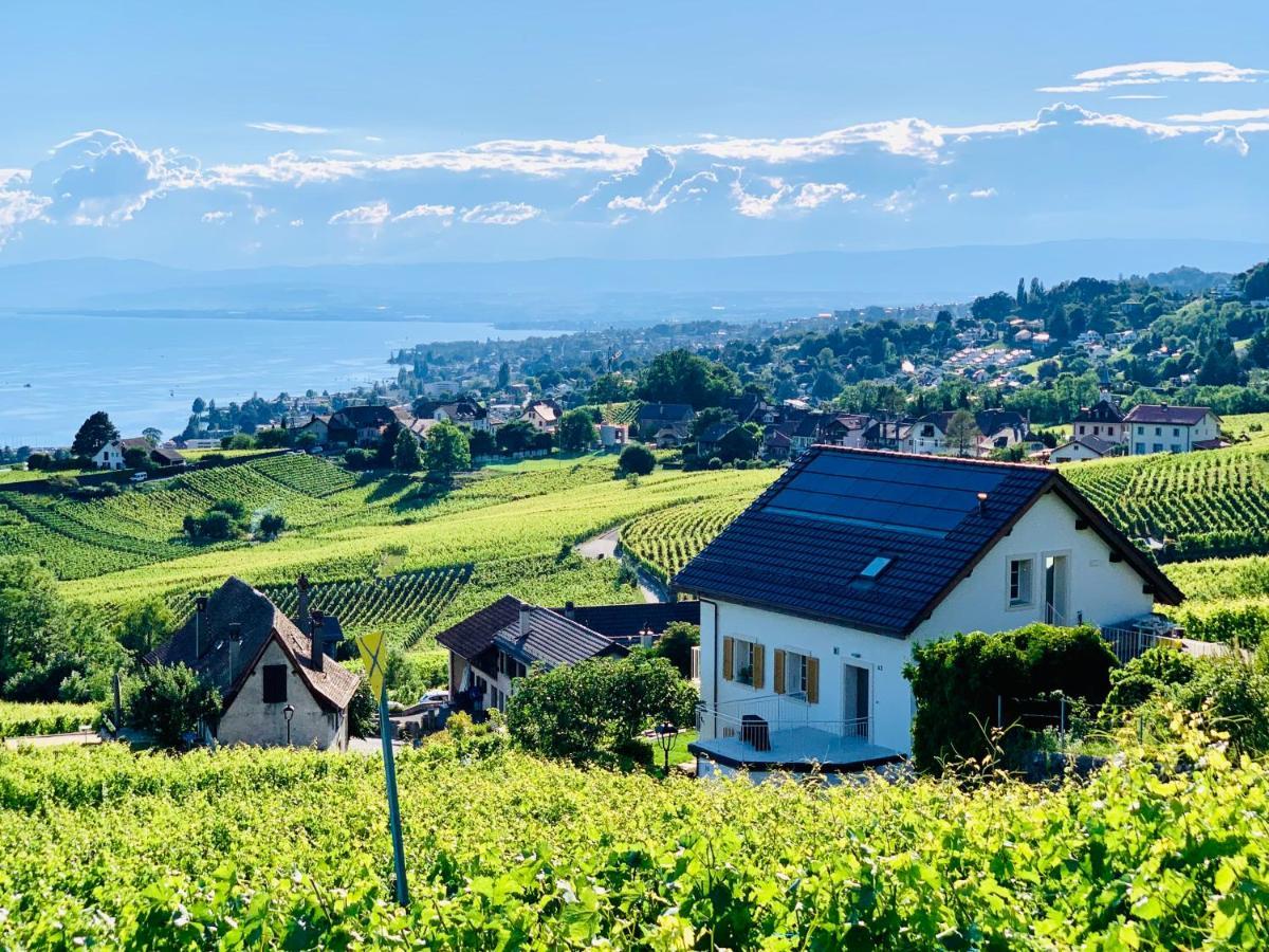 מלון לוטרי #Lavaux מראה חיצוני תמונה