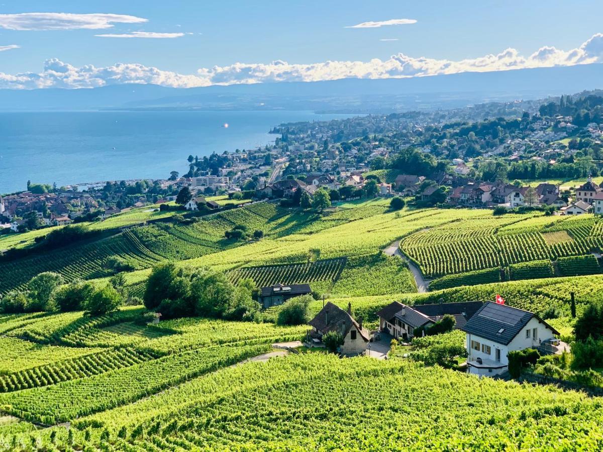 מלון לוטרי #Lavaux מראה חיצוני תמונה