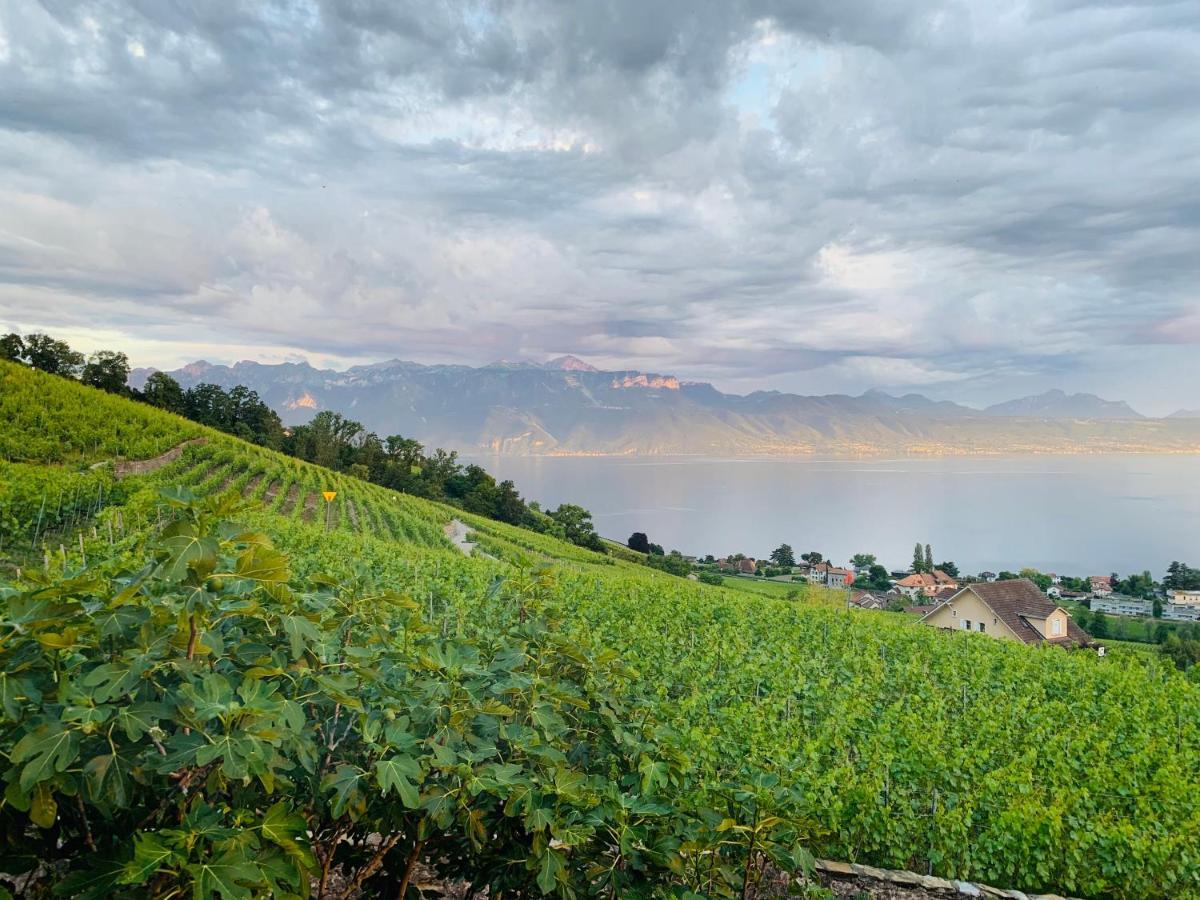 מלון לוטרי #Lavaux מראה חיצוני תמונה