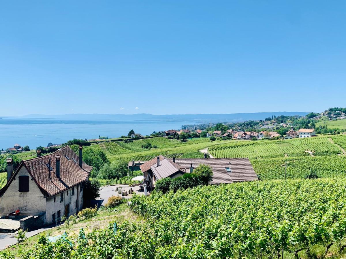 מלון לוטרי #Lavaux מראה חיצוני תמונה